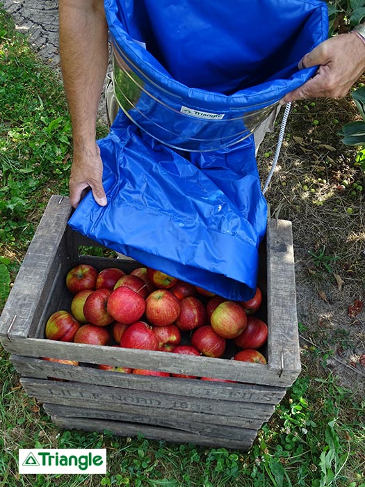 Panier de récolte